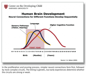 Evolution of emotions year 1