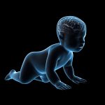 Your child's rapidly developing brain