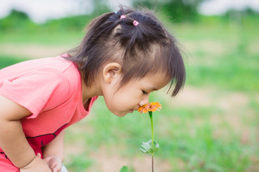5 cosas que podemos aprender sobre la atención plena de los niños pequeños