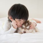 Teaching dog safety to toddlers