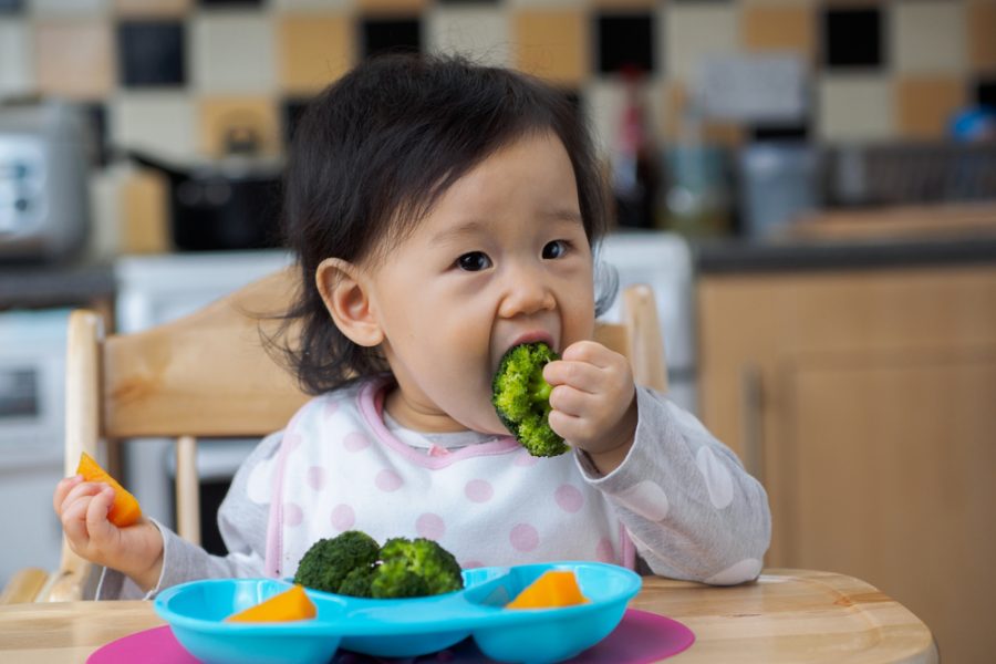 What is Baby Led Weaning?
