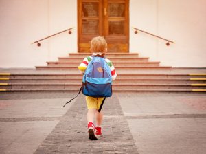 types of schools